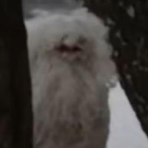 FNXKZT